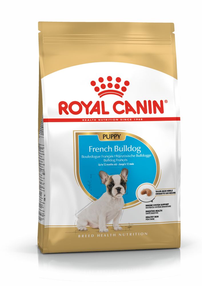 BHN French Bulldog Puppy 3KG + Regalo