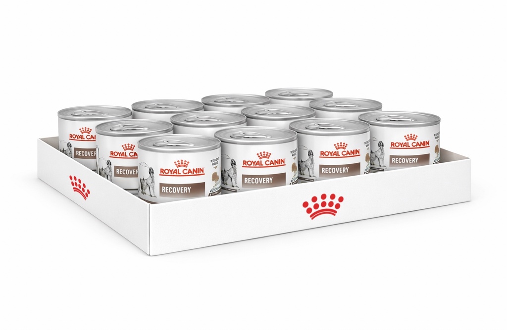 Pack 12 latas Recovery Fel/Can 195Gs