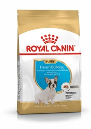 [10275] BHN French Bulldog Puppy 3KG + Regalo