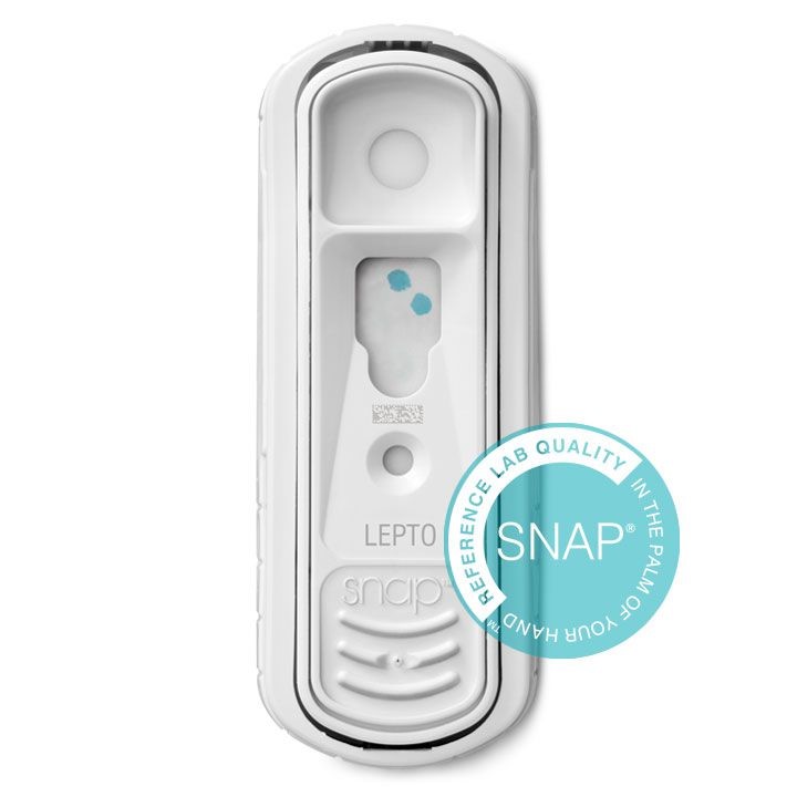 Snap®  Lepto 5u.