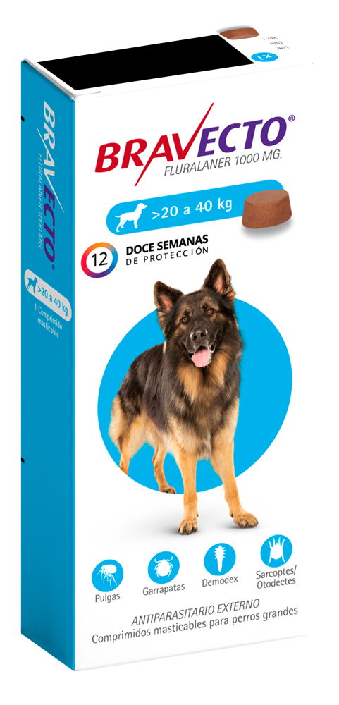 Bravecto Trimestral 1000MG - 20 a 40KG