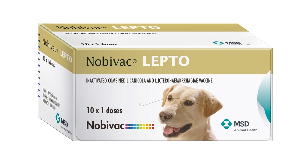 Nobivac Lepto 10x1Ds 225 24M