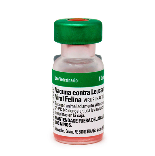 Nobivac Feline 2-FeLV 1 dosis