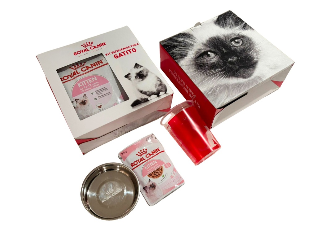 Kit de Reclutamiento Gatitos